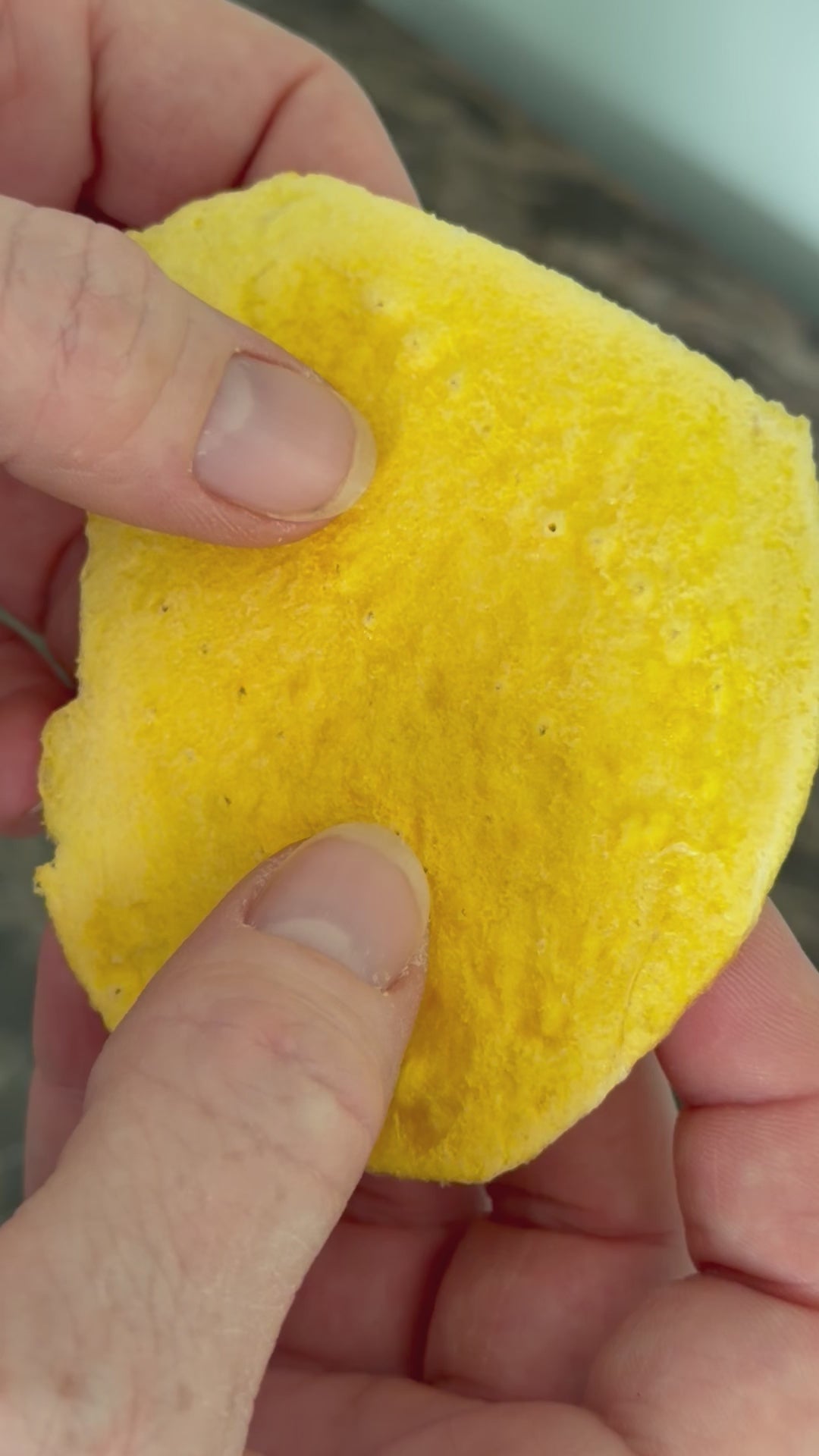 Fresh Freeze-Dried Mango