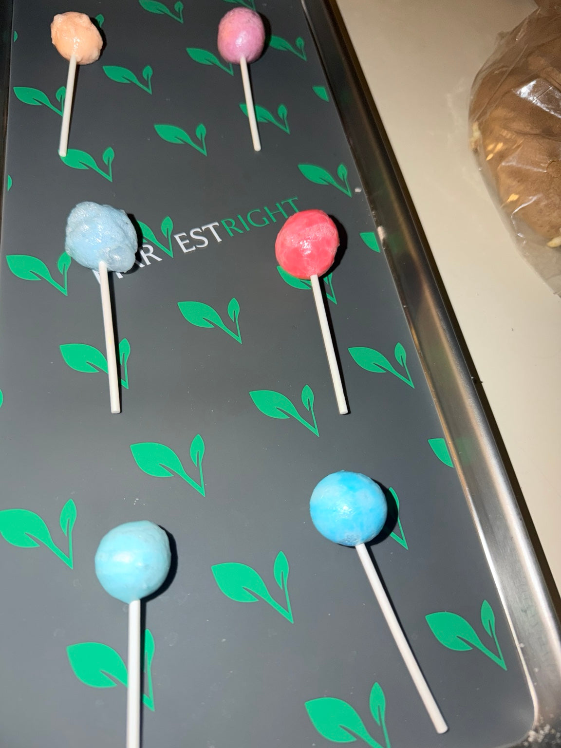 Assorted colorful freeze-dried lollipops called Worlds on a Stick